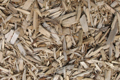 biomass boilers Cargreen