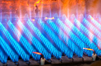 Cargreen gas fired boilers